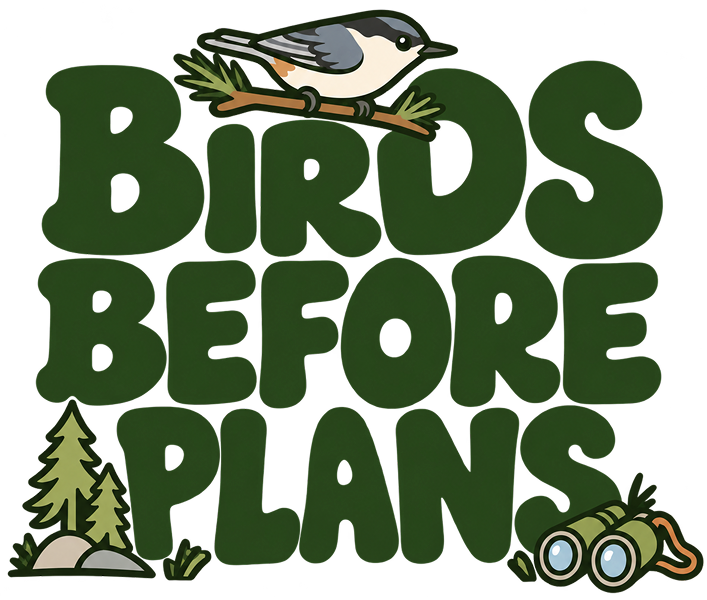 Birds Before Plans